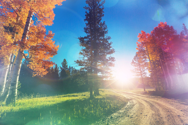 színes őszi táj - Fotó, kép