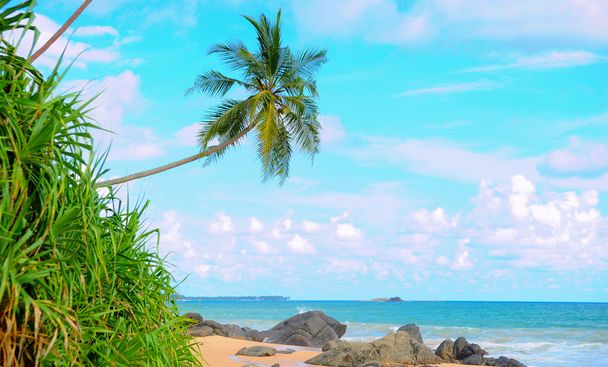 Praia tropical intocada no Sri Lanka - Foto, Imagem