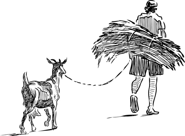 farmer with brushwood and his goat go home - Vector, Image