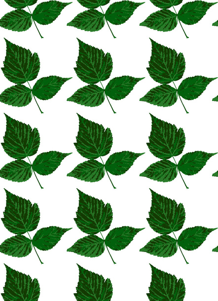 Pattern with leaves - Vector, Image