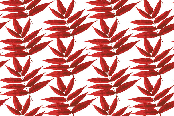 patroon met bladeren - Vector, afbeelding
