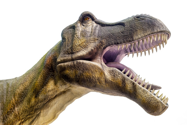 dinossauro t-rex
 - Foto, Imagem