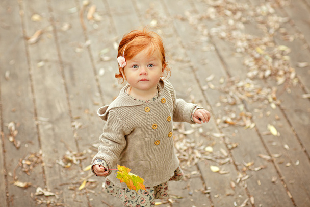 Red-haired baby girl on the background of autumn nature - Foto, Imagem