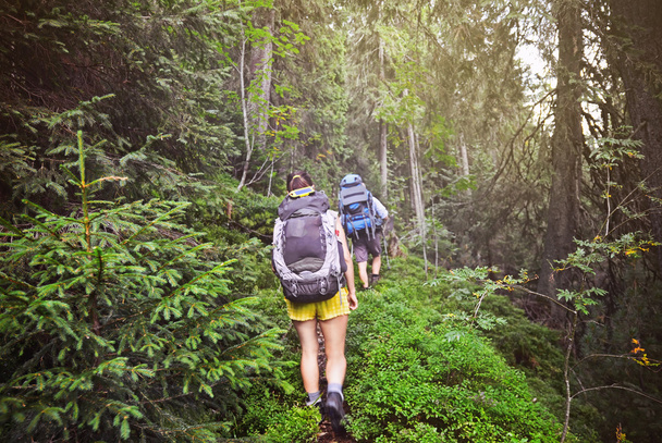 Os jovens estão caminhando nas montanhas dos Cárpatos no verão
  - Foto, Imagem