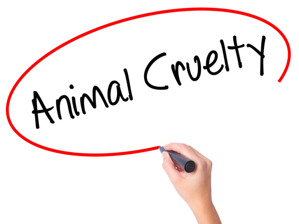 Женщины пишут Animal Cruelty черным маркером на визуальном диске
 - Фото, изображение