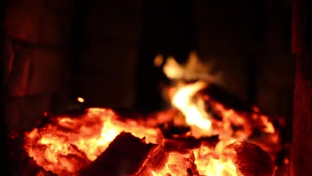 Holzkohle im Grill verbrennen - Filmmaterial, Video