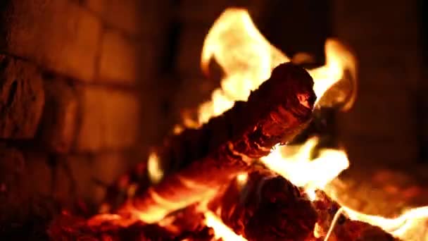 Holzkohle im Grill verbrennen - Filmmaterial, Video