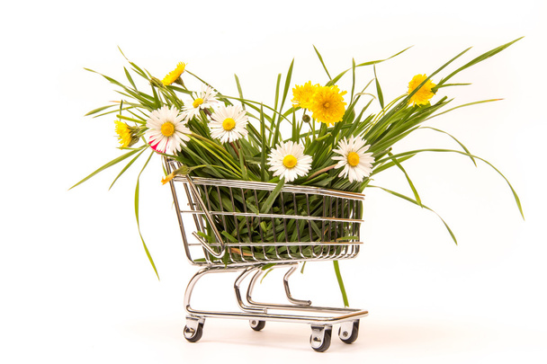 Cart with grass and flowers. Spring purchases concept - Photo, Image