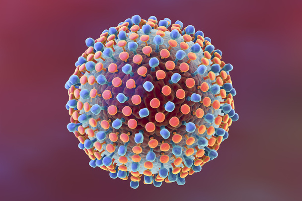 Ilustrace viru hepatitidy C - Fotografie, Obrázek