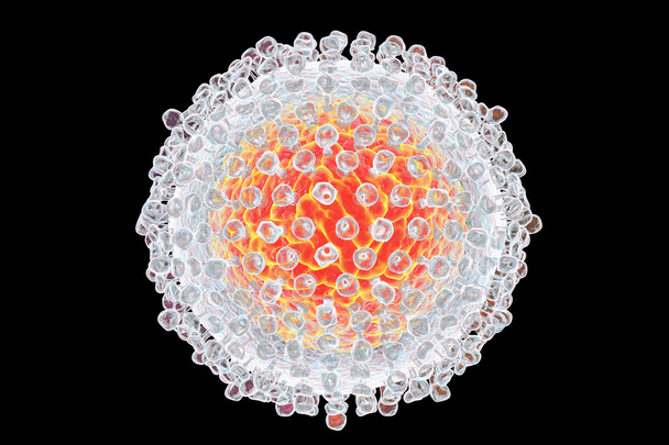 Illustration zum Hepatitis-C-Virus - Foto, Bild