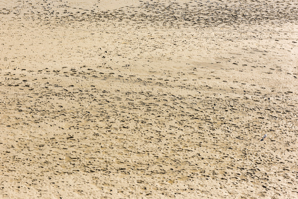 impronte umane sulla sabbia - Foto, immagini