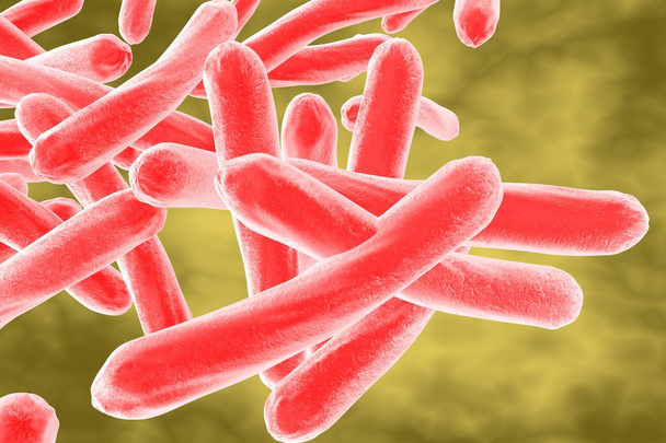 Bacteria Mycobacterium tuberculosis - Photo, Image