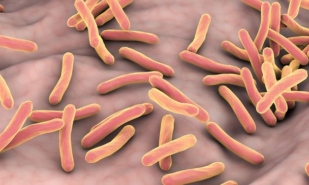 Bacterias Mycobacterium tuberculosis
 - Foto, Imagen