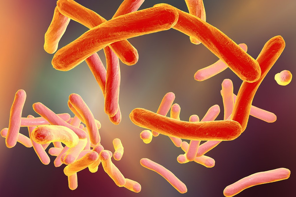 Βακτήρια Mycobacterium φυματίωση - Φωτογραφία, εικόνα