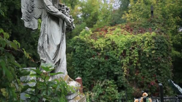Starodawny statua skrzydlaty Anioł na cmentarzu - Materiał filmowy, wideo