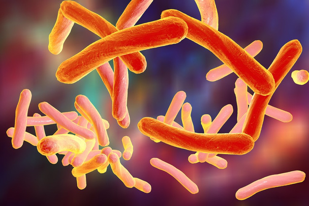 Bacterie Mycobacterium tuberculosis - Foto, afbeelding