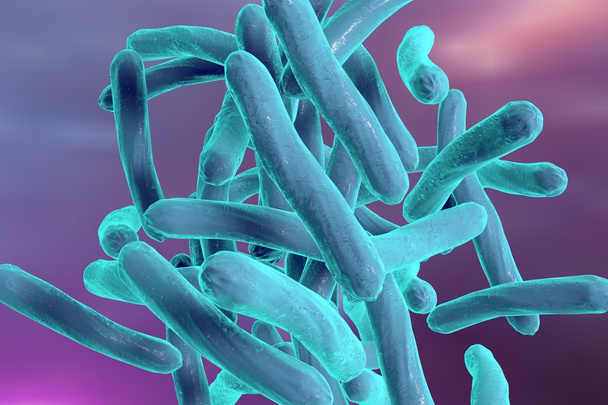 Bakterie Mycobacterium tuberculosis - Zdjęcie, obraz