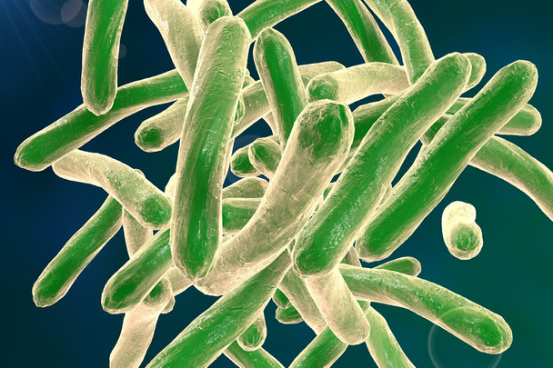 Bactérias Mycobacterium tuberculosis
 - Foto, Imagem