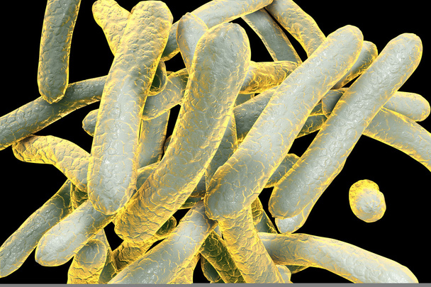 Bactérias Mycobacterium tuberculosis
 - Foto, Imagem