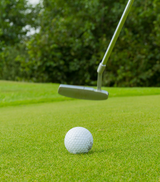 Pelota de golf en frente de un conductor
 - Foto, Imagen