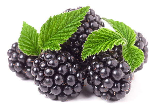 kupie blackberry z liści na białym tle na białym tle - Zdjęcie, obraz