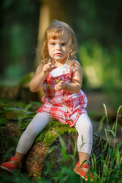 Little girl in the forest - Фото, изображение