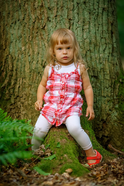 Little girl in the forest - Foto, Bild