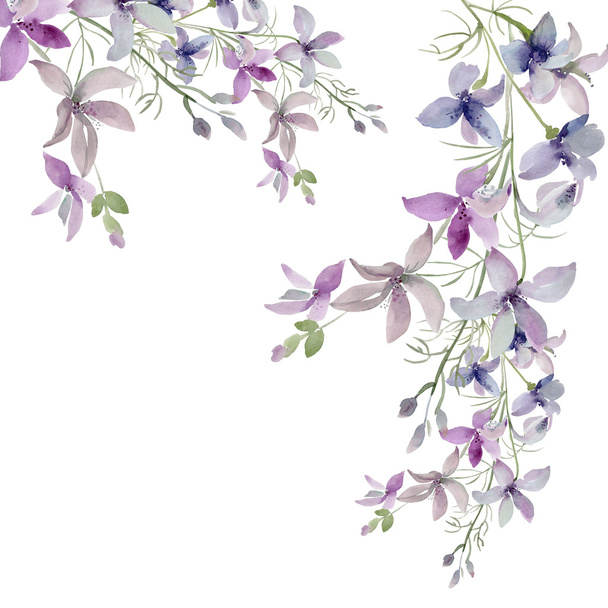 Vzorek z divokých květin na barevném pozadí  - Fotografie, Obrázek
