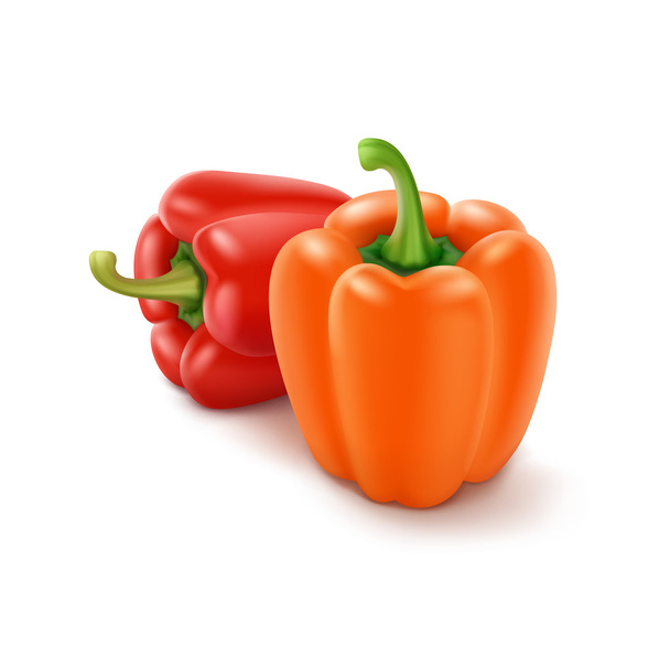 zwei vektorfarbene orange und rote süße bulgarische Paprika, Paprika isoliert auf dem Hintergrund - Vektor, Bild