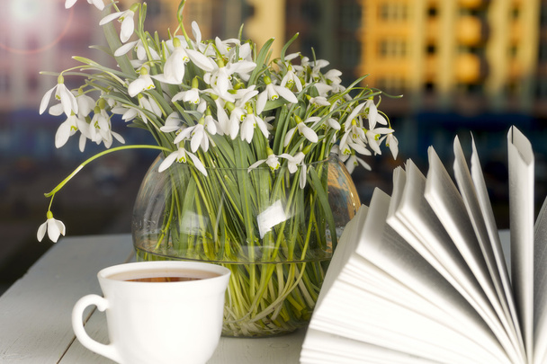 квітка на книзі перед вікном вранці
 - Фото, зображення