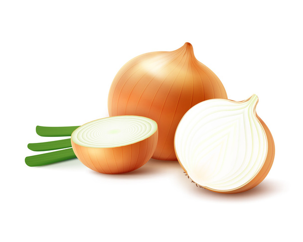 Whole and Sliced Yellow Onion Bulbs with Onions - Vector, Image
