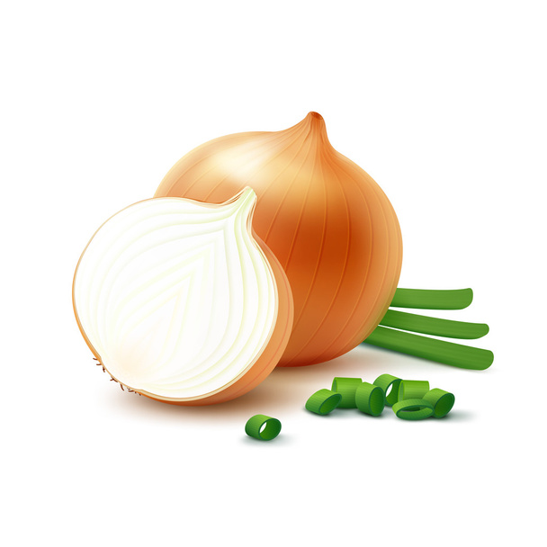 Yellow Onion Bulbs with Chopped Green Onions - Vector, Image