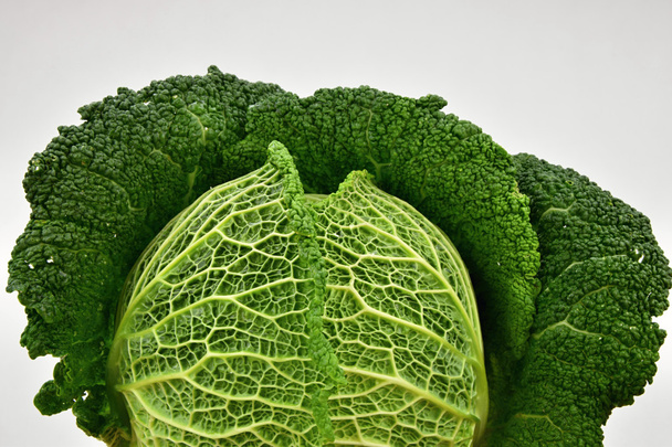 Kale on a white background. - 写真・画像