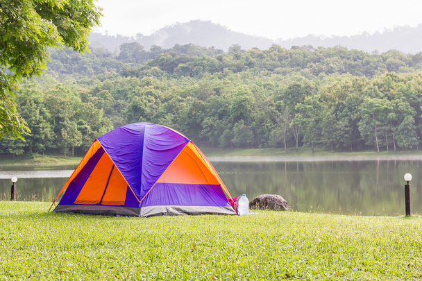 Koepel tenten kamperen in het bos - Foto, afbeelding