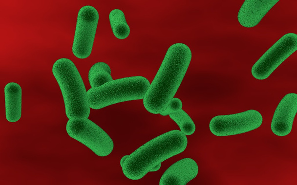 Bacteriën in het bloed, bacteriemia - Foto, afbeelding