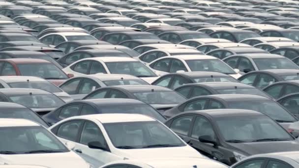 Parkingu przechowywania nowych niesprzedanych samochodów - Materiał filmowy, wideo