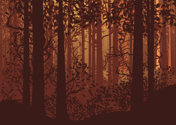 herfst boslandschap - Vector, afbeelding