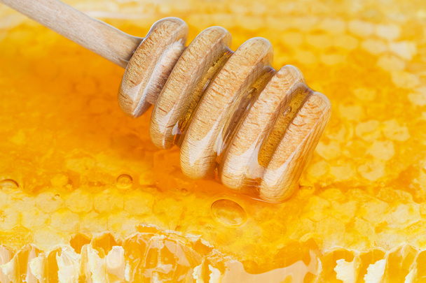 hölzerner Honiglöffel auf der Oberfläche der Wabe - Foto, Bild