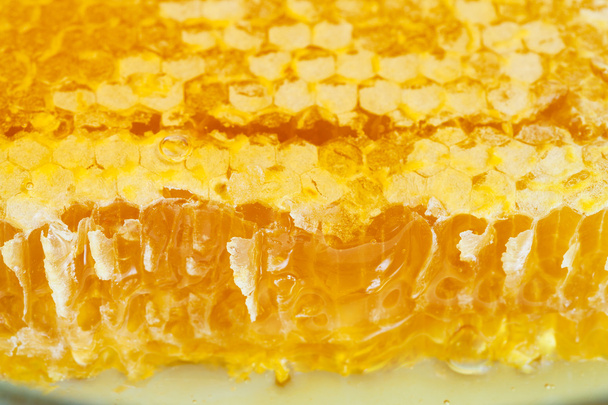 broken yellow honeycomb with honey on plate - Fotó, kép