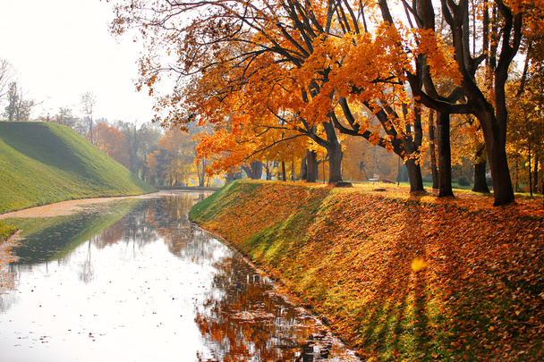 Autumn October colorful park. Foliage trees alley - Photo, Image