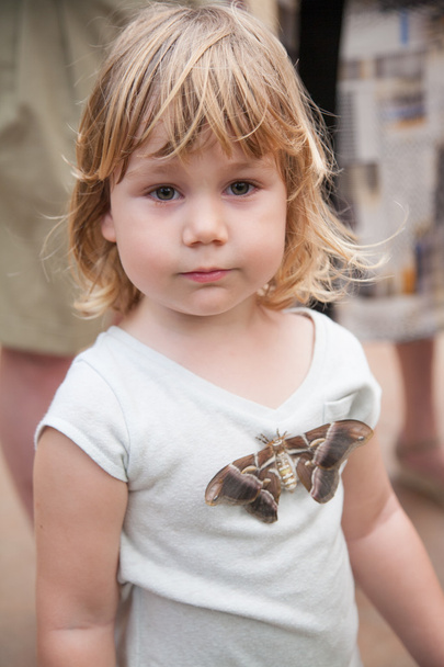 child with moth Samia Ricini butterfly on her shirt - Photo, Image