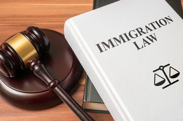 Immigration law book and gavel. Consumer protection book and gavel. Law and regulations concept. - Photo, Image