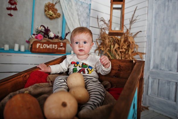 Young caucasian baby boy sitting on wheelbarrow and pumpkin deco - Fotoğraf, Görsel
