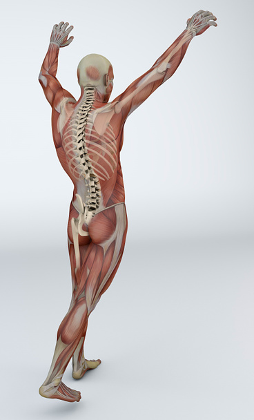 Man muscles back pain - Photo, Image