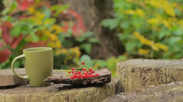 Hete thee In een Mug op een stomp Forest - Video