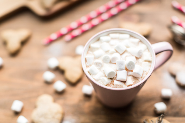 Hot cocoa with marshmallows air and ginger cookies - Photo, image