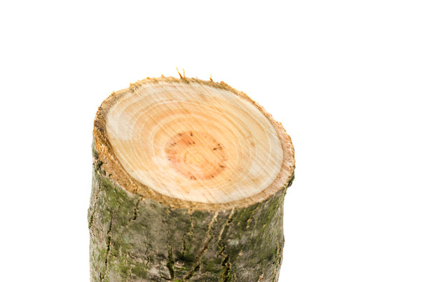 ξύλινα κούτσουρο που απομονώνονται σε λευκό φόντο. - Φωτογραφία, εικόνα