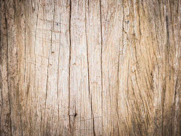wood texture/wood texture background - Foto, immagini
