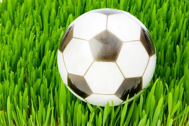 Concepto deportivo - fútbol en el vidrio
 - Foto, Imagen