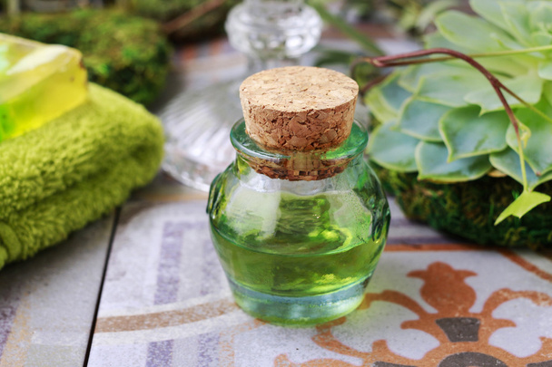 Butelkę zielony olejek i sukulentów - Zdjęcie, obraz